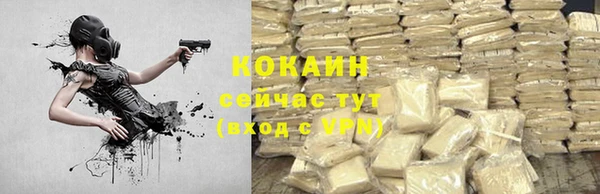 дживик Горняк