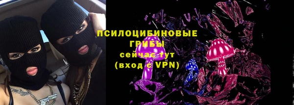 дживик Горняк