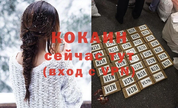 стаф Гусев