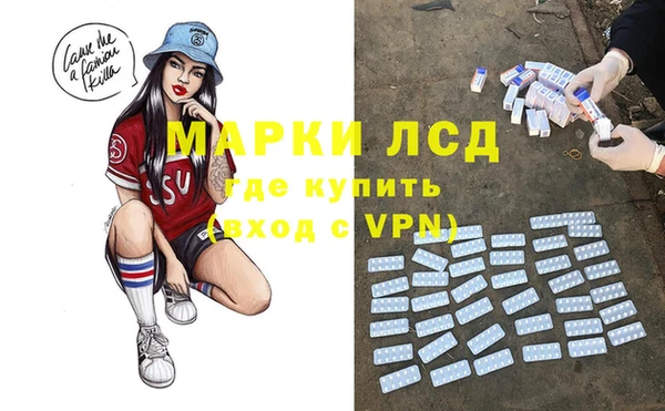 дживик Горняк