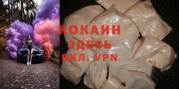 дживик Горняк