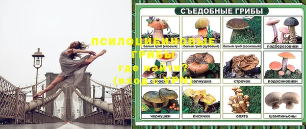 дживик Горняк