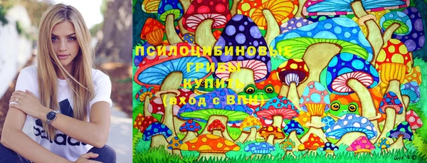 стаф Гусев
