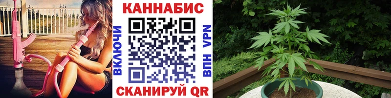 это Telegram  Нея  Бошки Шишки White Widow 